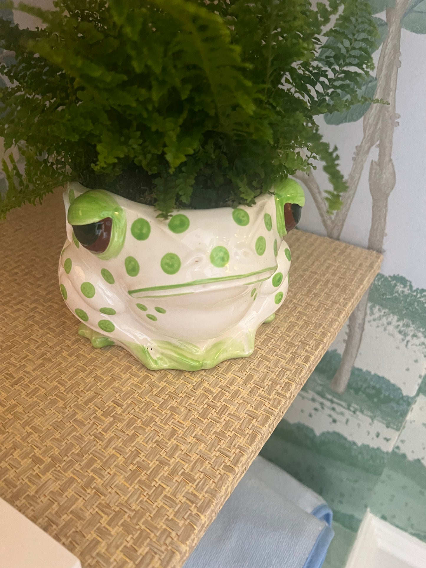 Spotted Frog