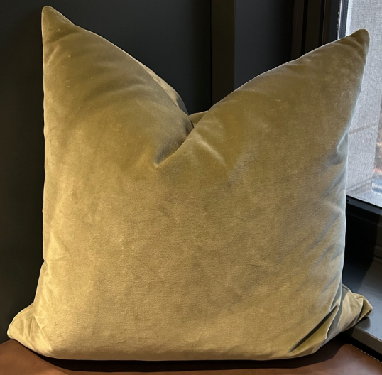 Green Velvet Throw Pillow