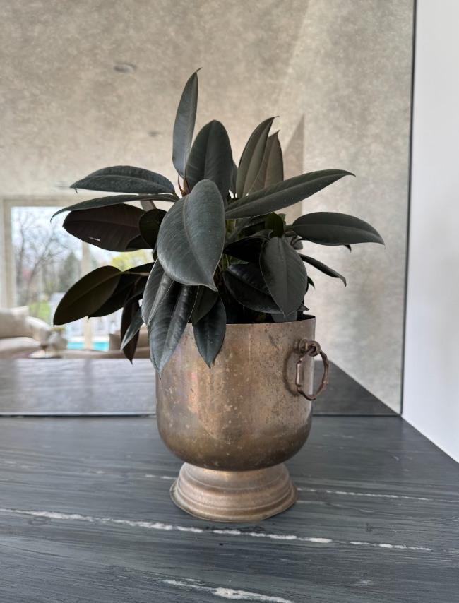 Brass champagne bucket