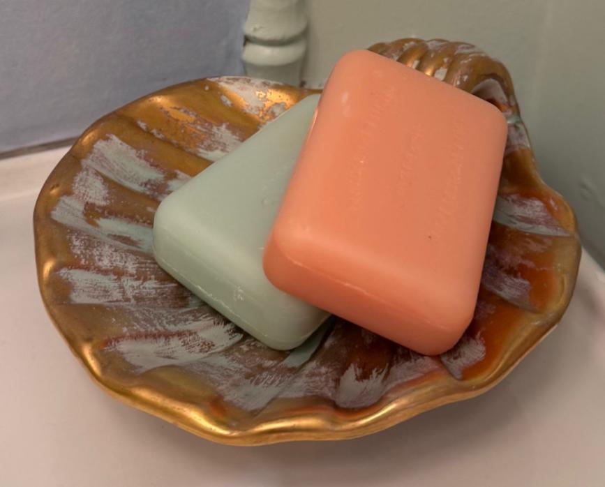 Shell soap dish