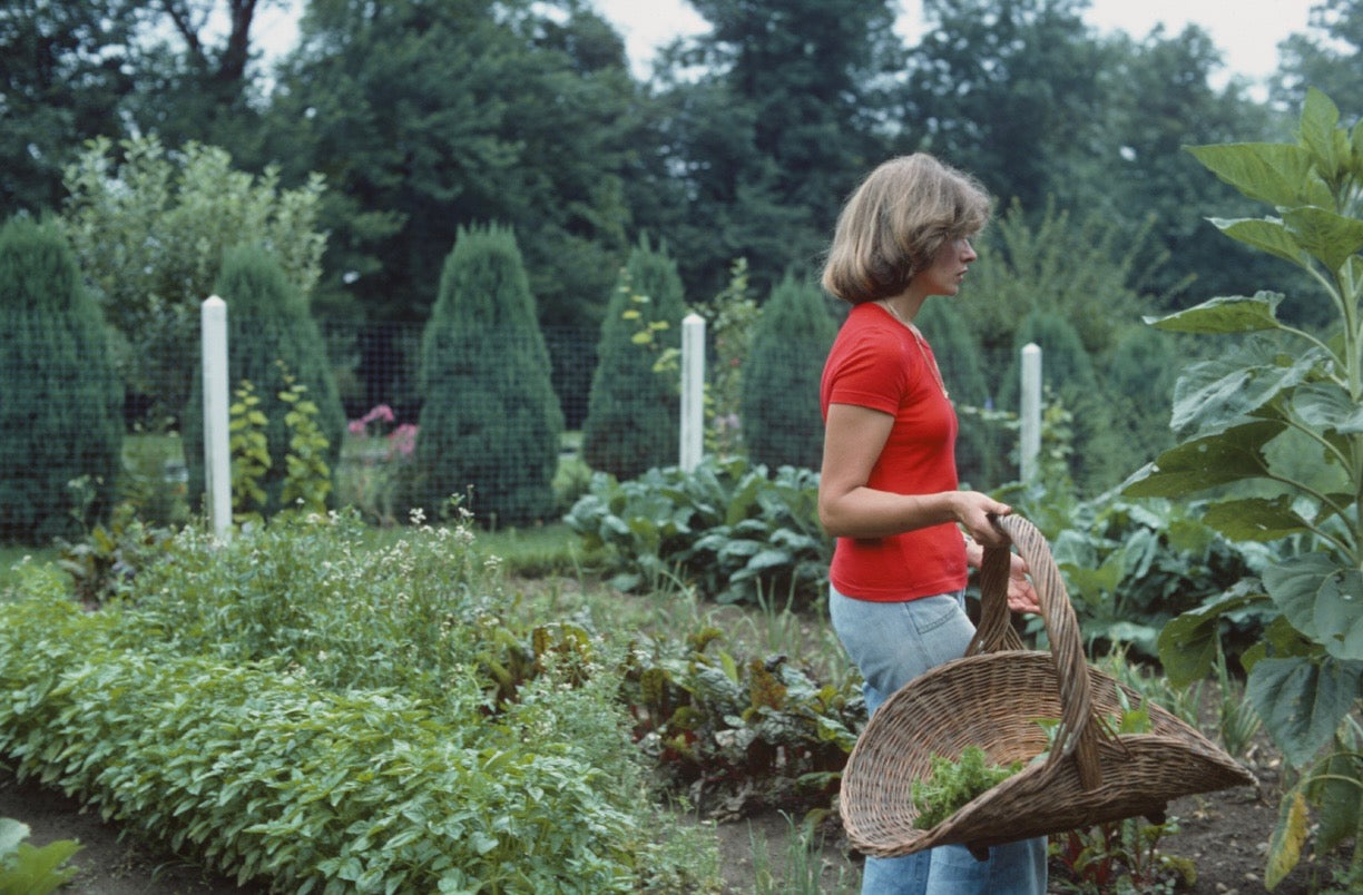 "Martha Stewart in the Garden" Limited Edition, Archival Print