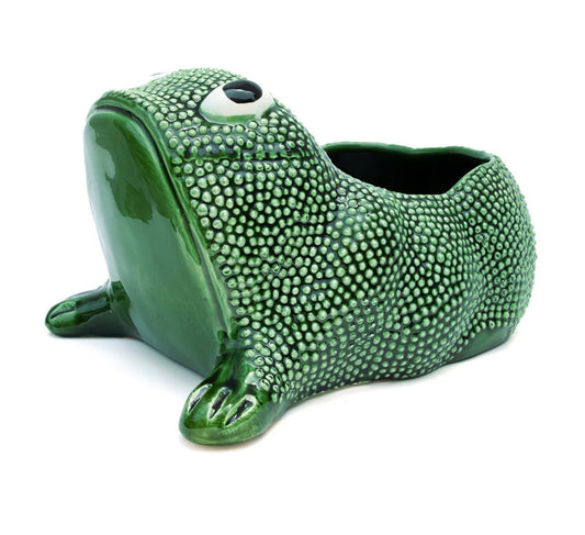Frog Cachepot