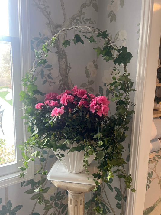 Pair Planters