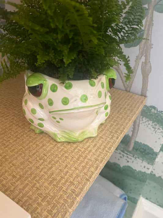 Spotted Frog