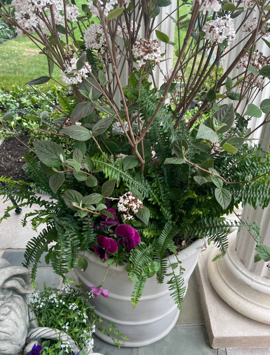 Small Planter