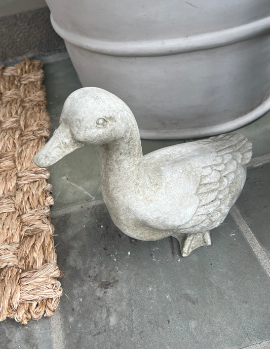 concrete duck