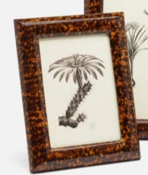 Tortoise Picture Frame