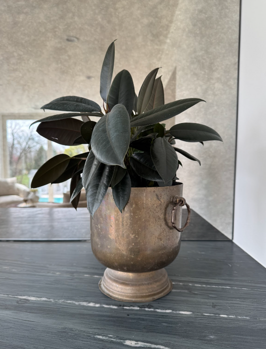 Brass champagne bucket