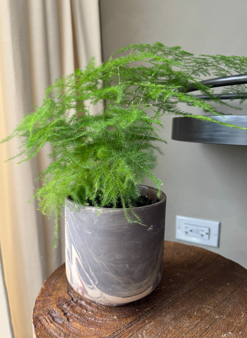 Planter