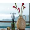 Large Reed Diffuser in Temple Moss ( New and Unopened)