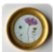 “Cosmos Study”