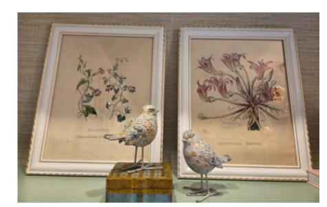 Vintage Botanicas set of 2 in white frames