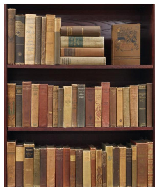 Collection of Antique Leather Bound Books