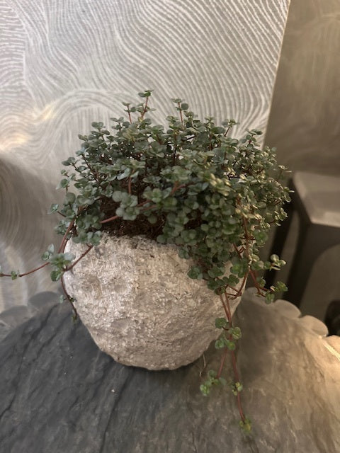 Carved granite stone vessel