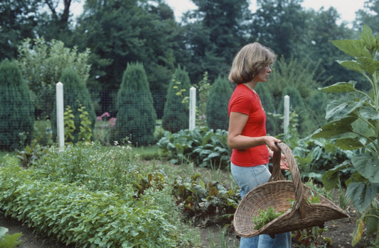 "Martha Stewart in the Garden" Limited Edition, Archival Print